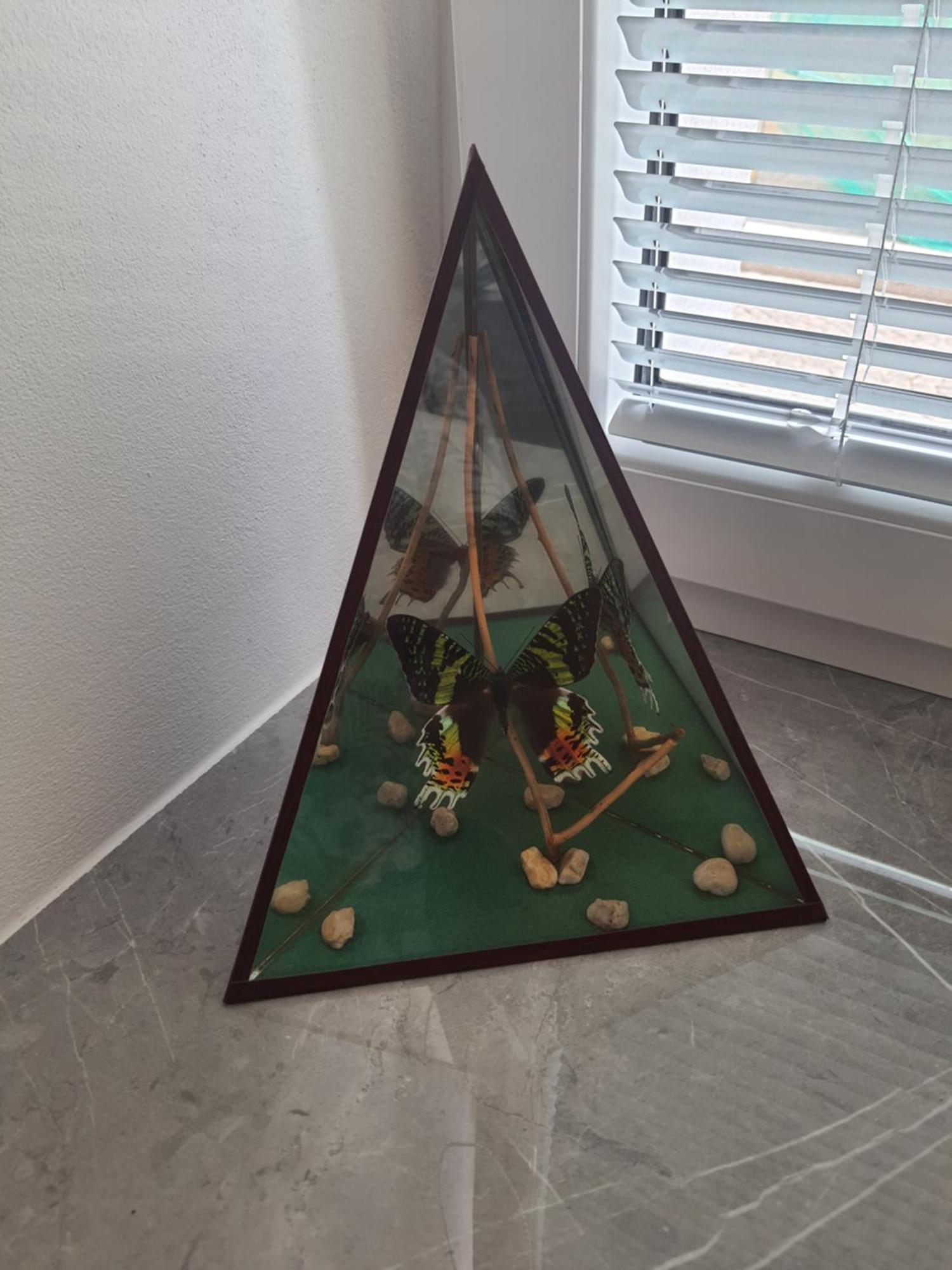 Apartmany Havlickova 423 Česká Lípa Rum bild
